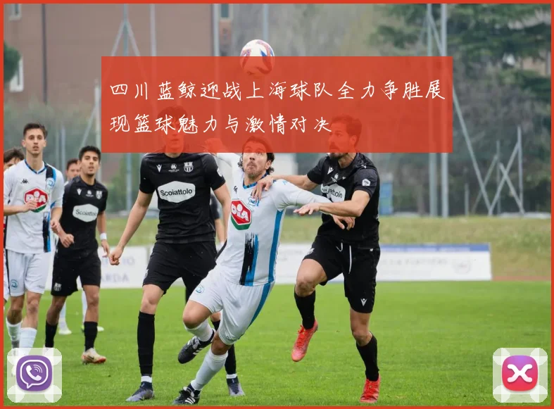 四川蓝鲸迎战上海球队全力争胜展现篮球魅力与激情对决