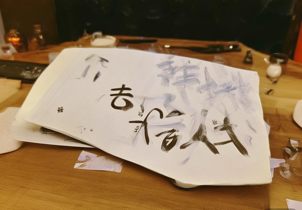 弗拉霍维奇：足球新星崛起之路与未来展望(图2)